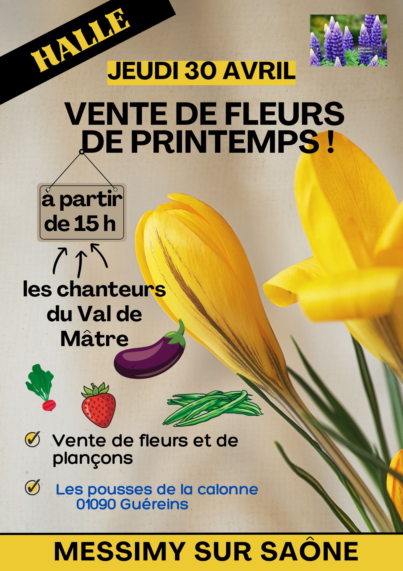 Vente de Fleurs Printemps Affiche Poster (1)